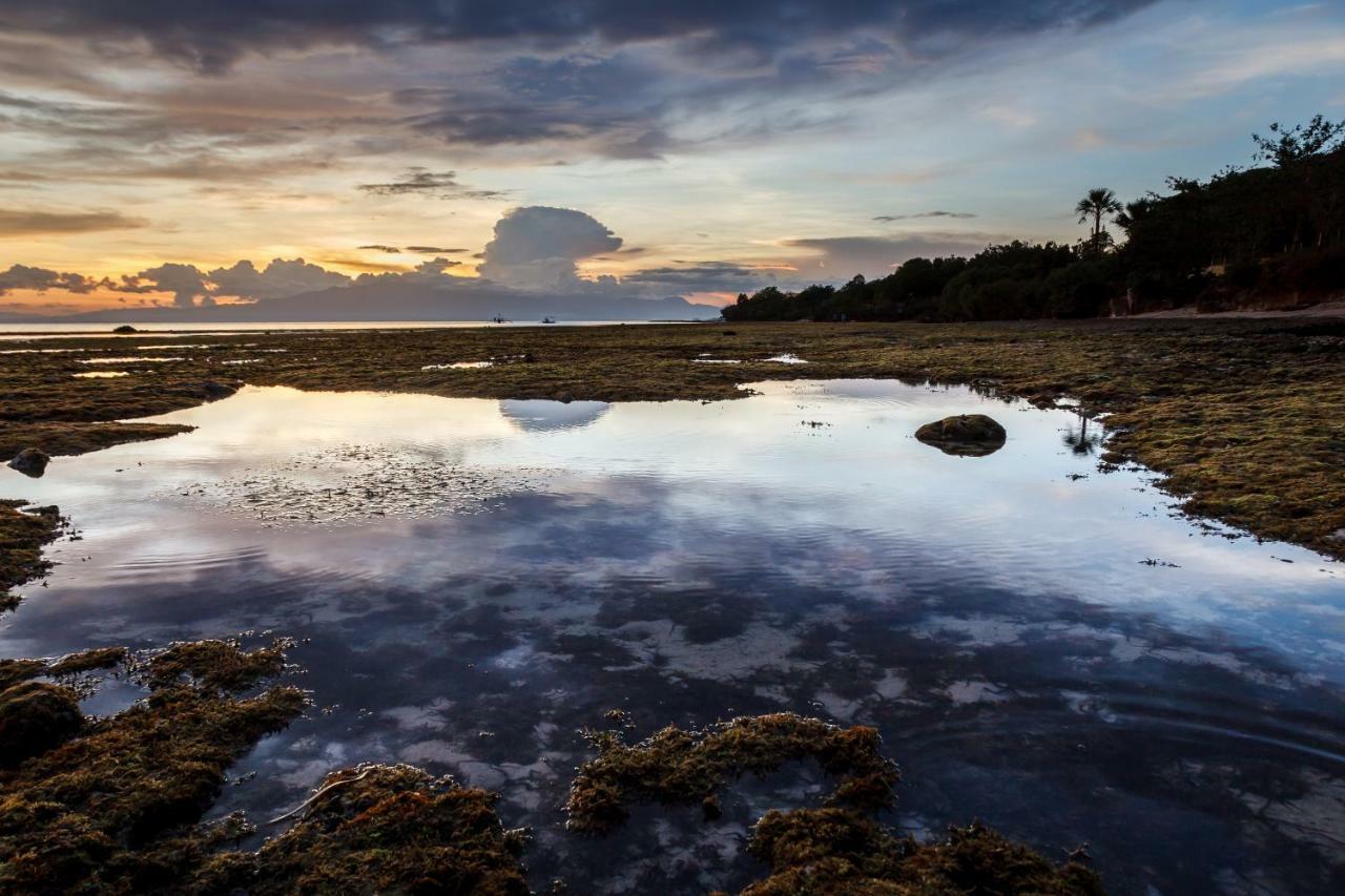 Residencia Diosa Otel Siquijor Dış mekan fotoğraf