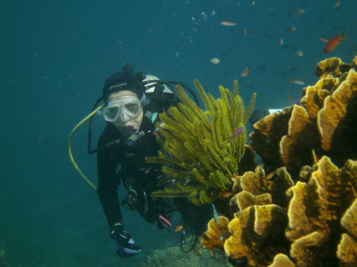 Residencia Diosa Otel Siquijor Dış mekan fotoğraf